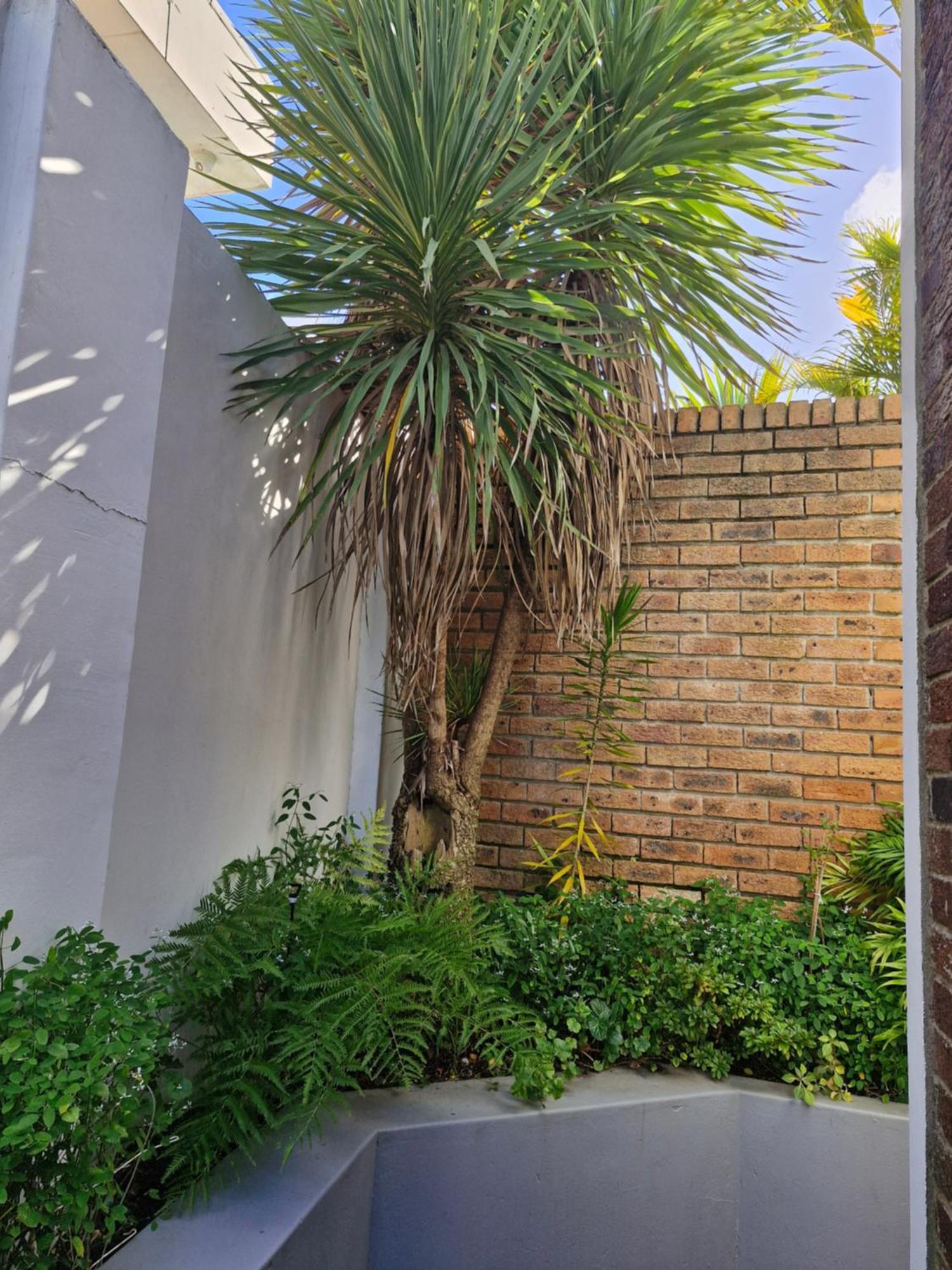 Mountain Rose Cottage Bellville Exterior foto